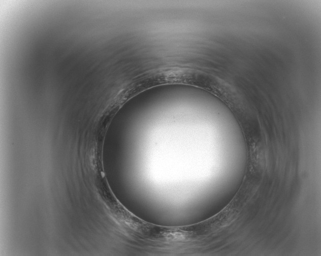 X0000067490698200604101255