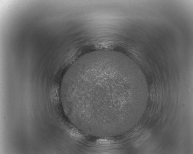 X0000067490699200604101255