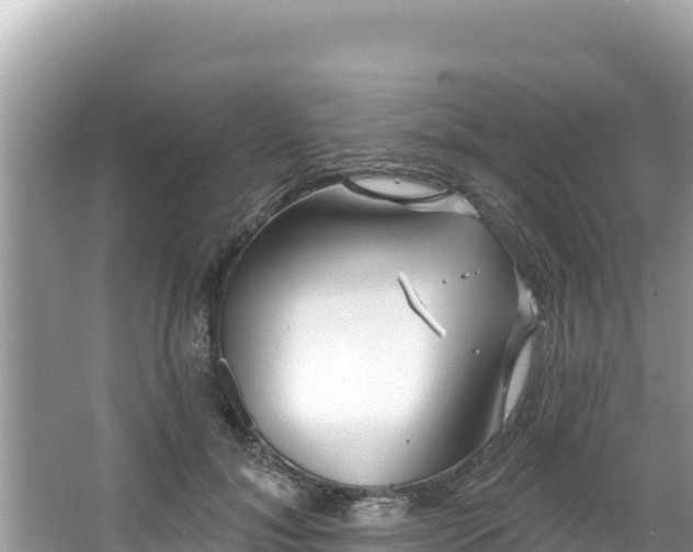 X0000067490700200604101255