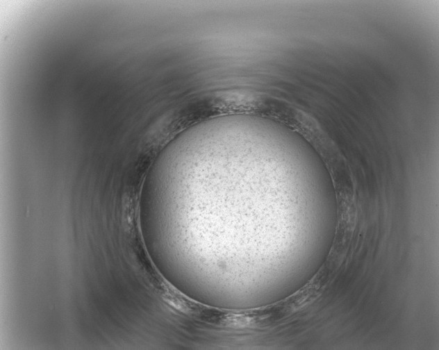 X0000067490701200604101255