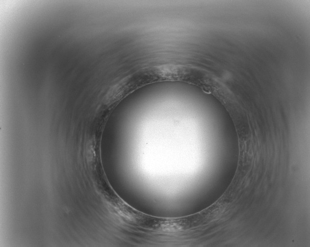 X0000067490702200604101255