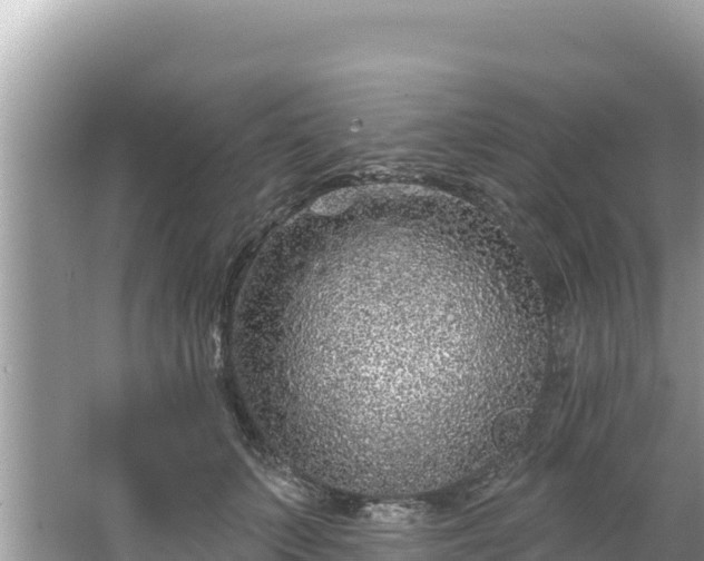 X0000067490703200604101255