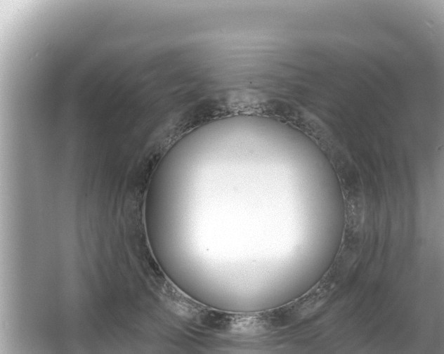 X0000067490705200604101255