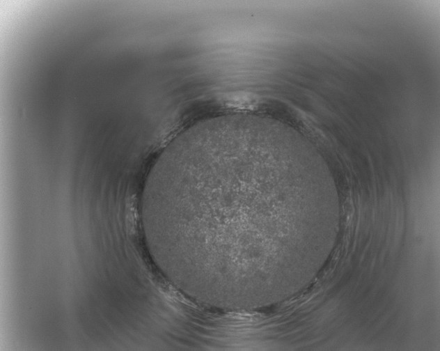 X0000067490707200604101255