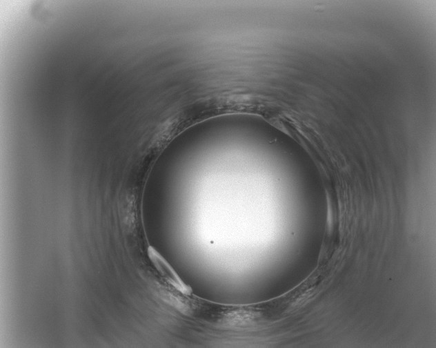 X0000067490708200604101255