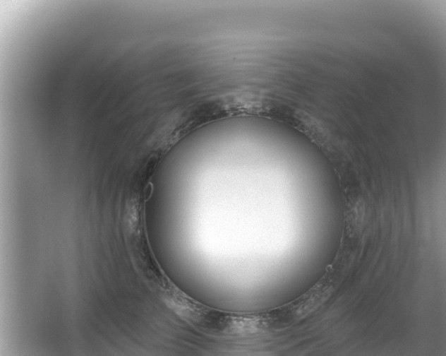 X0000067490709200604101255