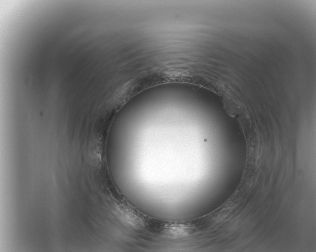 X0000067490710200604101255