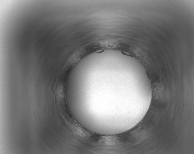 X0000067490713200604101255