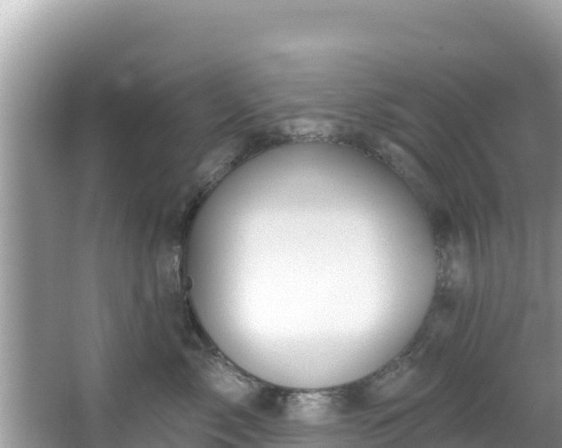 X0000067490717200604101255