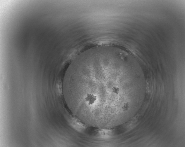 X0000067490718200604101255