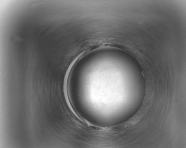 X0000067490720200604101255