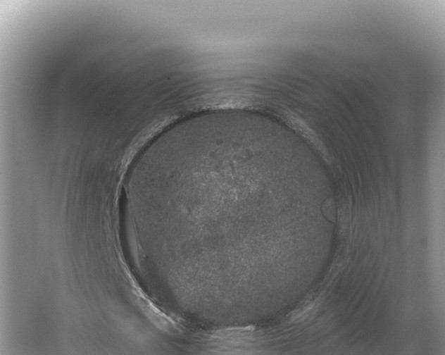 X0000067490721200604101254