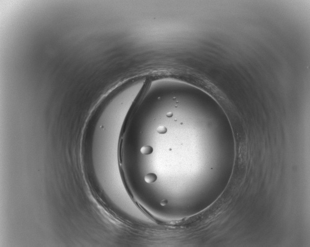 X0000067490722200604101254