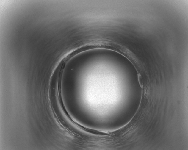 X0000067490724200604101254