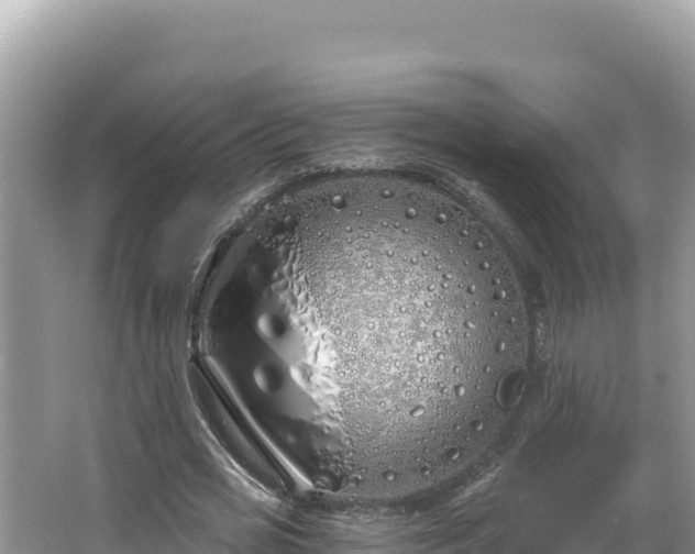 X0000067490725200604101254