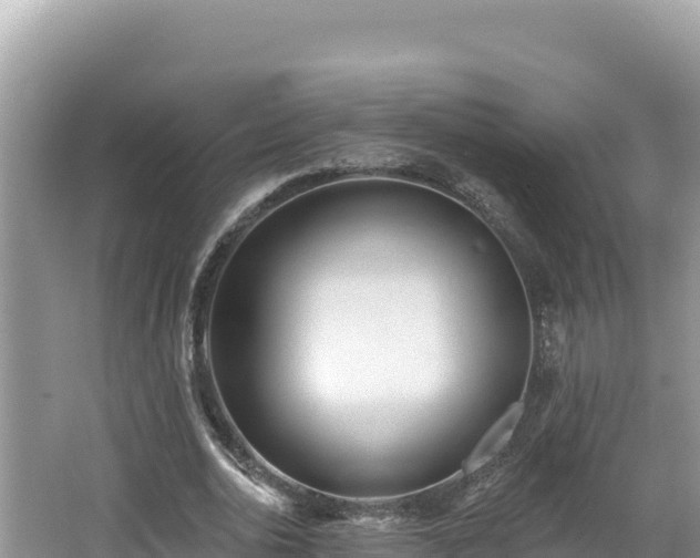 X0000067490726200604101254