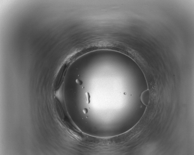 X0000067490727200604101254