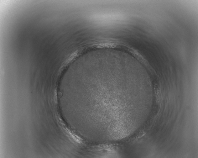 X0000067490729200604101254