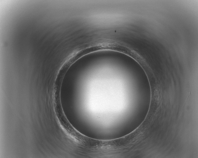 X0000067490730200604101254