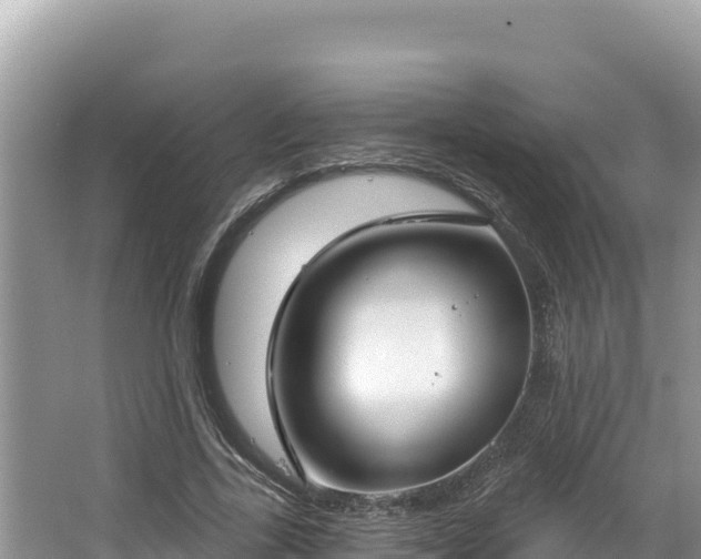 X0000067490731200604101254