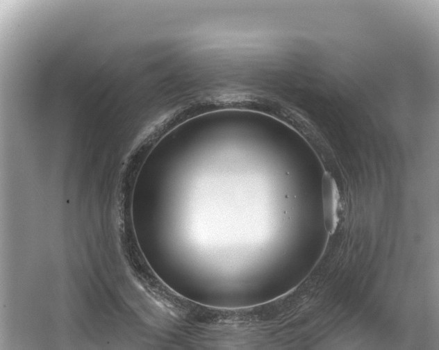 X0000067490732200604101254