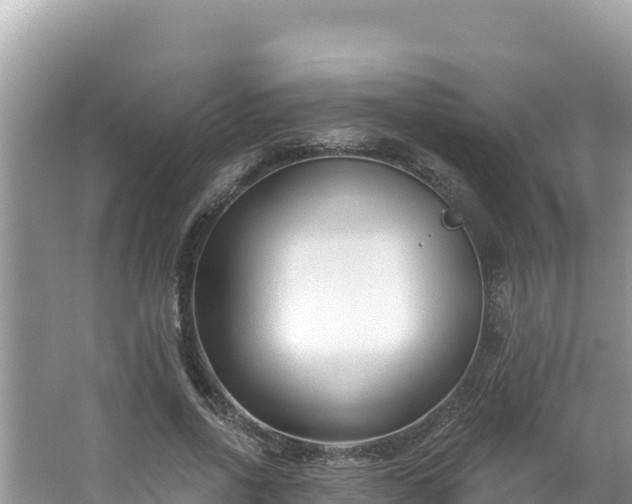 X0000067490734200604101254