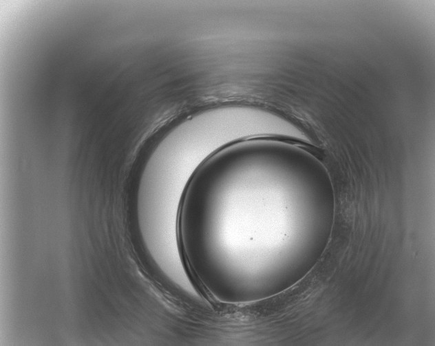 X0000067490735200604101254