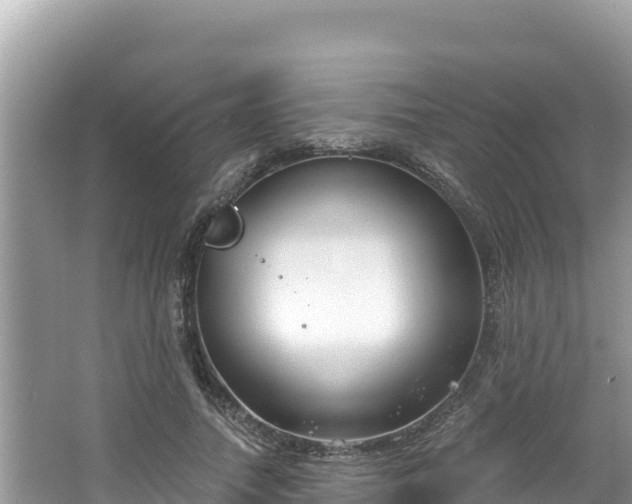 X0000067490738200604101254