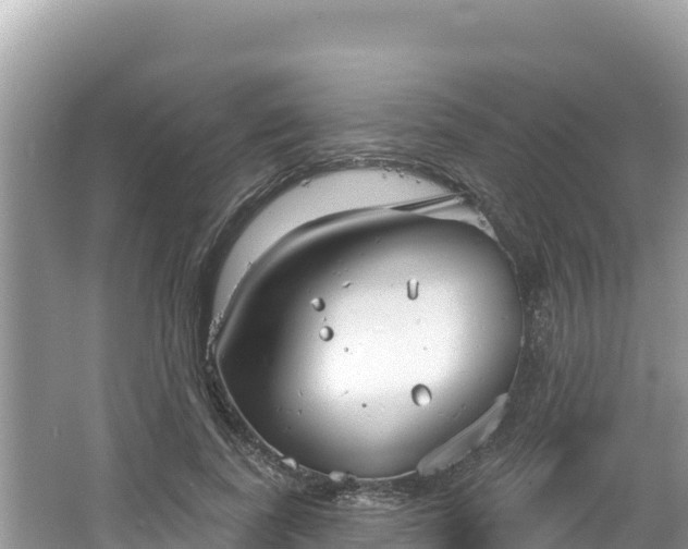 X0000067490739200604101254