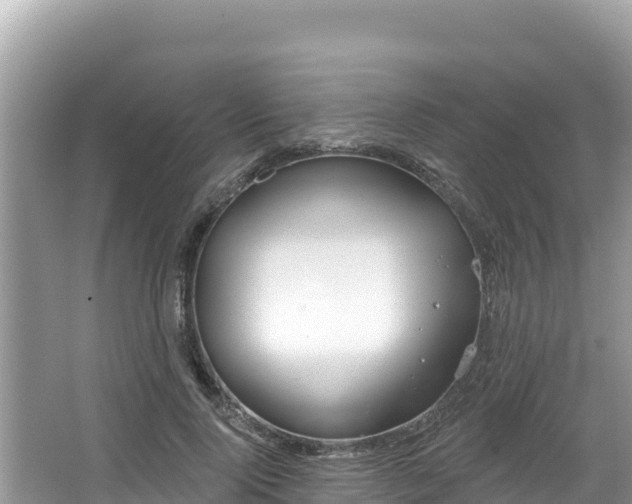 X0000067490740200604101254