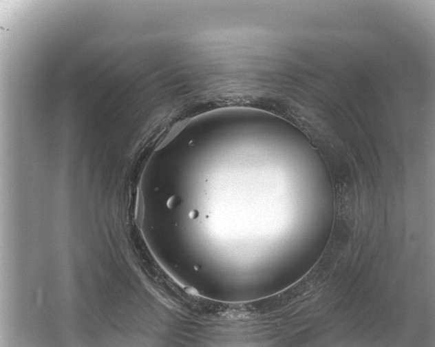 X0000067490742200604101255