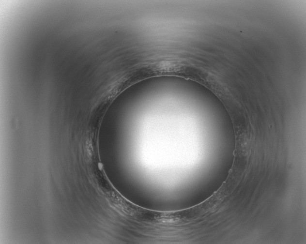 X0000067490746200604101255