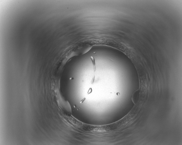 X0000067490749200604101255