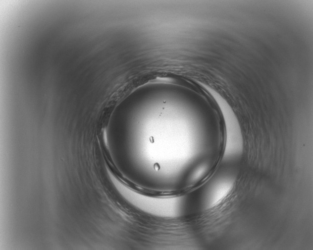 X0000067490750200604101255