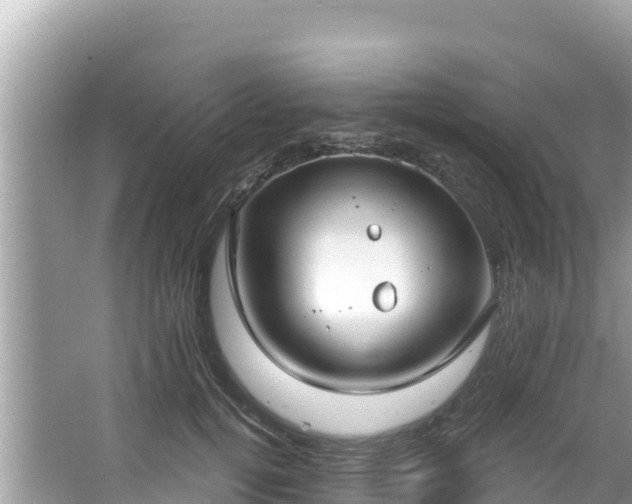 X0000067490752200604101255