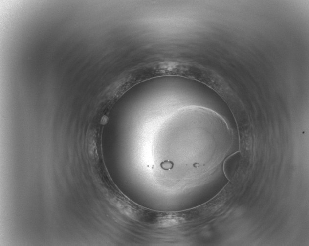 X0000067490754200604101255