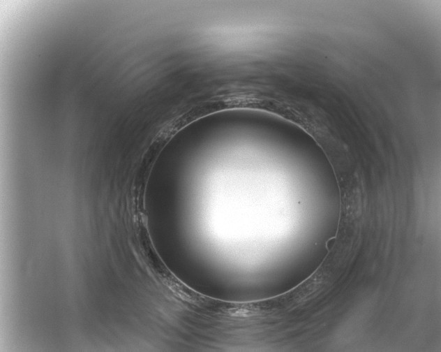 X0000067490755200604101255