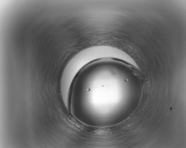 X0000067490756200604101255