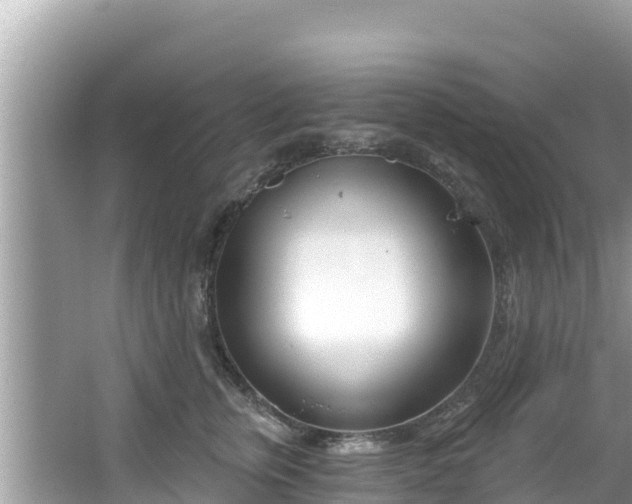 X0000067490759200604101255