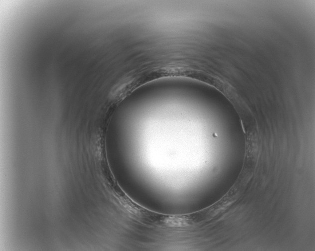 X0000067490762200604101255