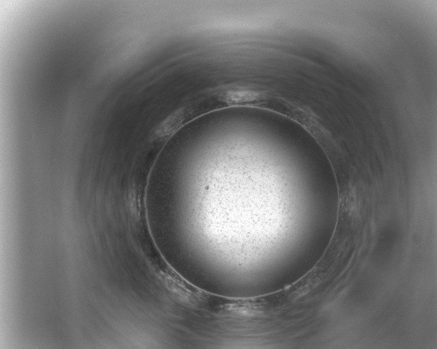 X0000067490763200604101255