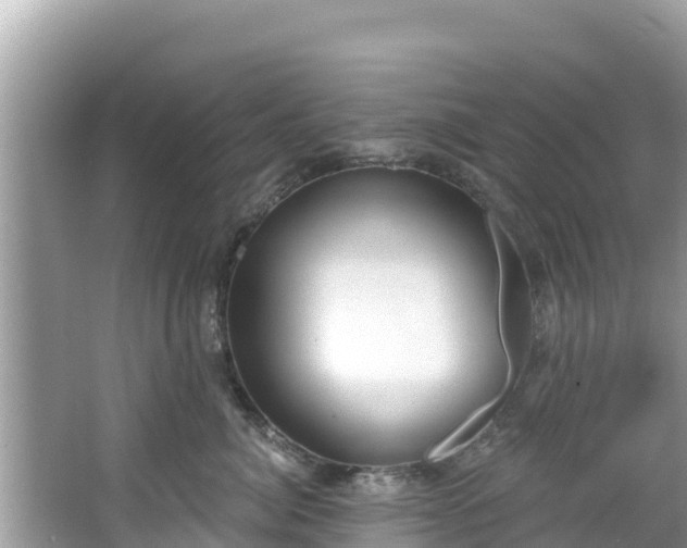 X0000067490764200604101255