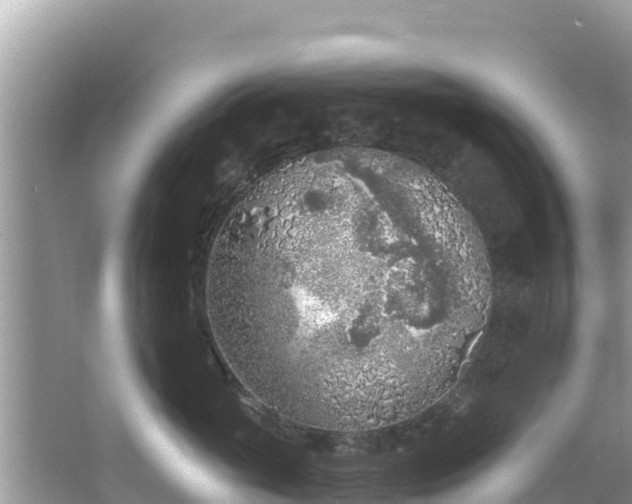 X0000067490765200604101255