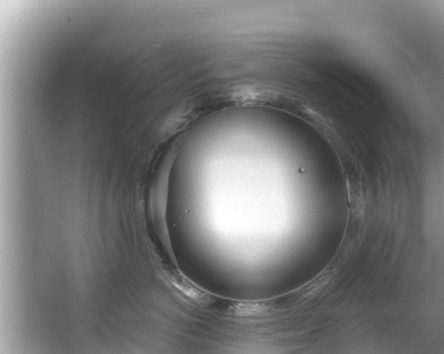 X0000067490766200604101255