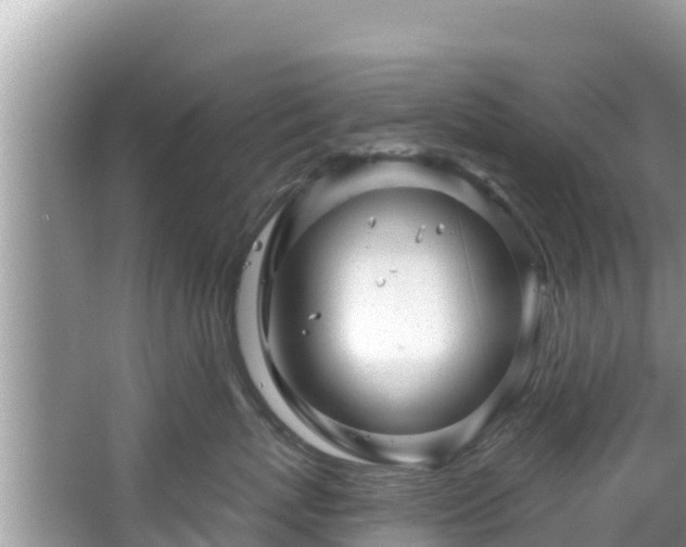 X0000067490767200604101255