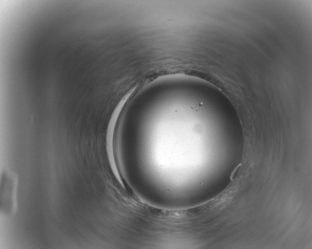 X0000067490768200604101255