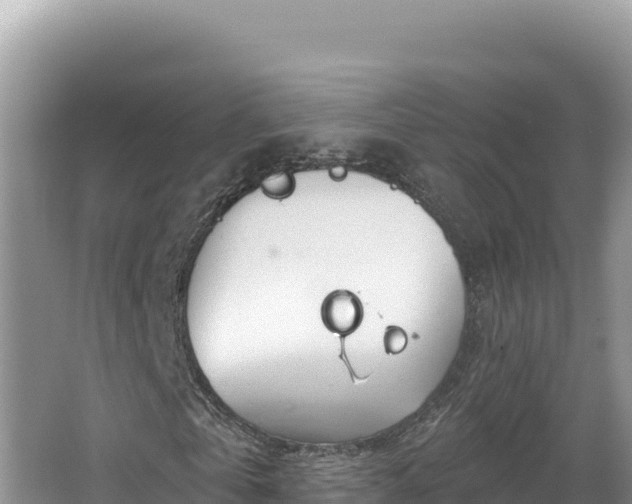 X0000067490769200604101254