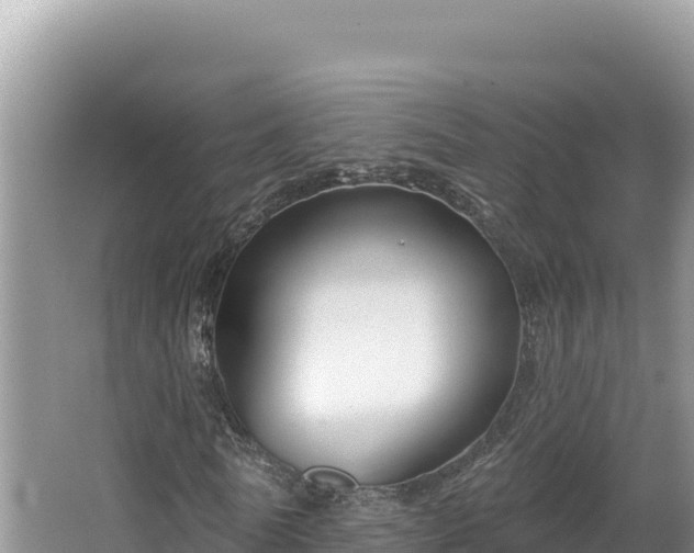 X0000067490770200604101254