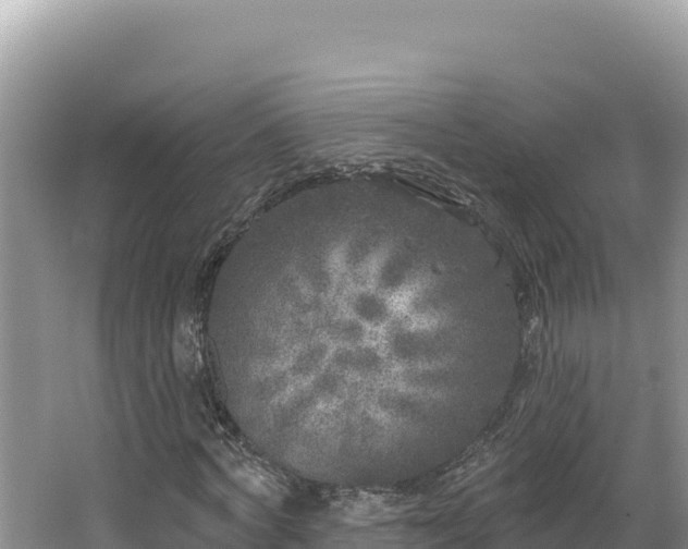 X0000067490772200604101254