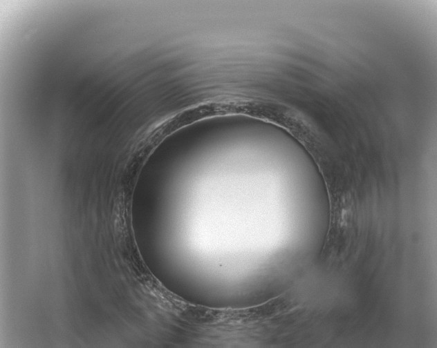 X0000067490773200604101254